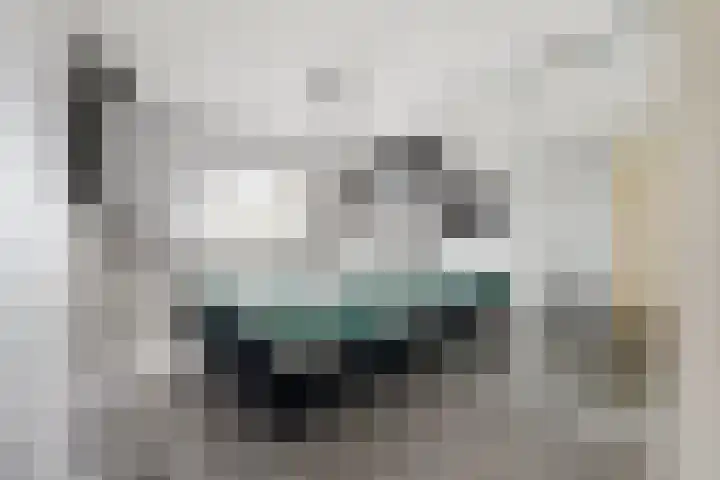 Sonderholm 11 Hoofddorp thumbnail 12