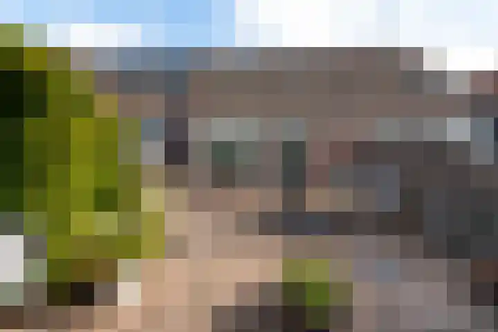 Sonderholm 11 Hoofddorp thumbnail 15