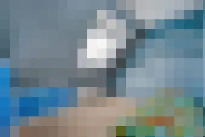 Sonderholm 11 Hoofddorp thumbnail 21