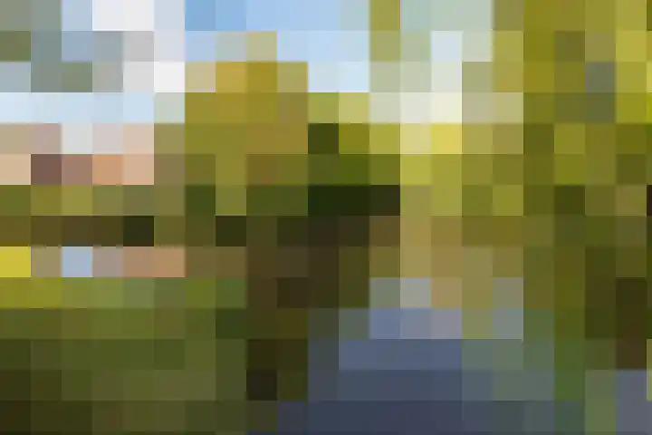 Sonderholm 11 Hoofddorp thumbnail 25