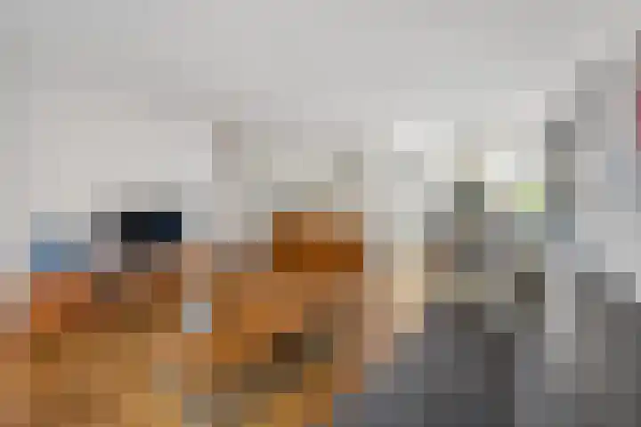 Sonderholm 11 Hoofddorp thumbnail 6