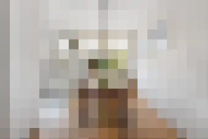 Sonderholm 11 Hoofddorp thumbnail 8