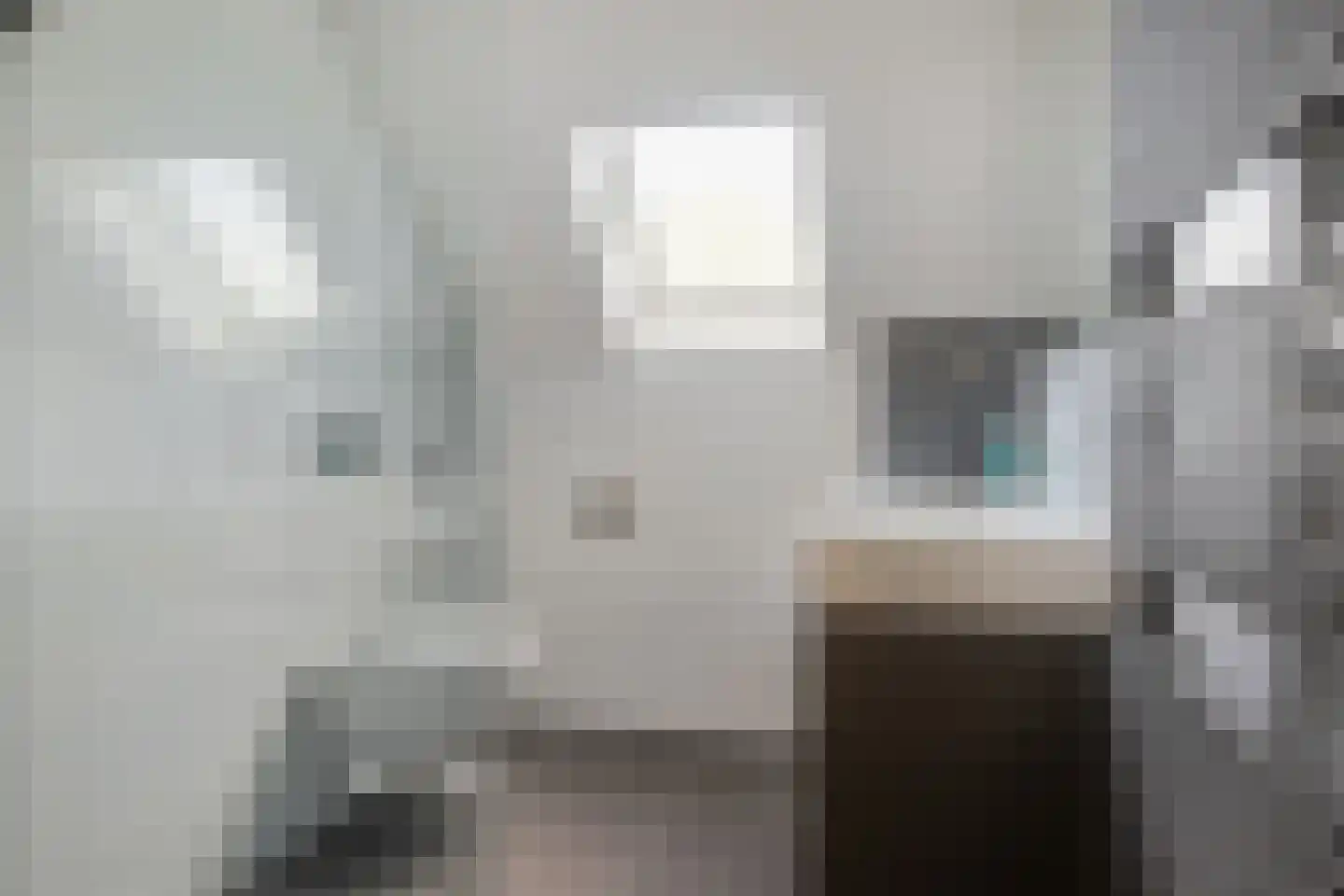 Sonderholm 14 Hoofddorp thumbnail 15