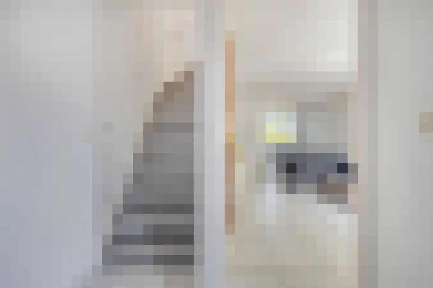 Sonderholm 14 Hoofddorp thumbnail 6