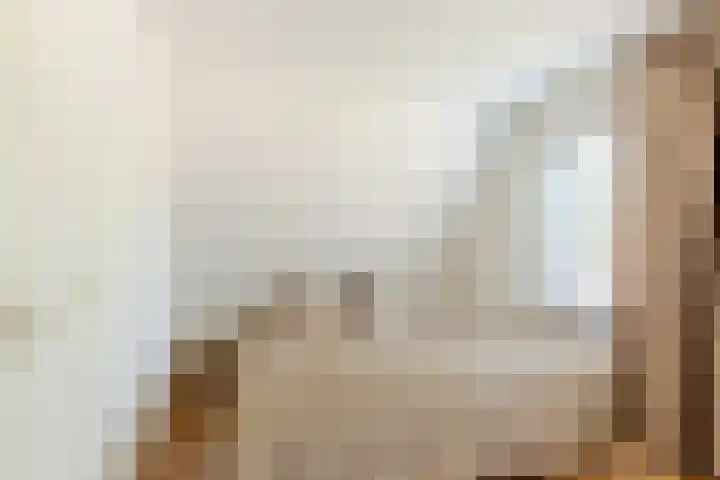 Sonderholm 149 Hoofddorp thumbnail 25