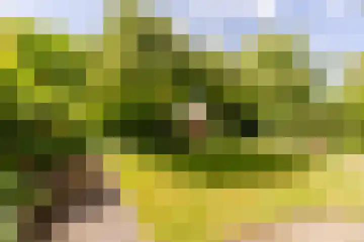 Sonderholm 149 Hoofddorp thumbnail 29