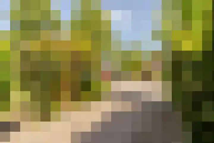 Sonderholm 149 Hoofddorp thumbnail 31