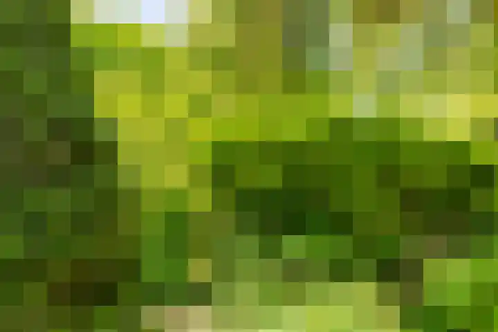 Sonderholm 149 Hoofddorp thumbnail 32