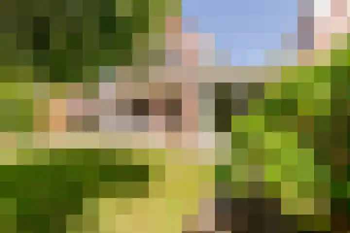 Sonderholm 149 Hoofddorp thumbnail 33