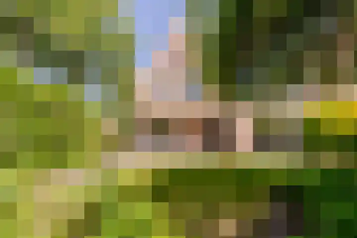 Sonderholm 149 Hoofddorp thumbnail 34