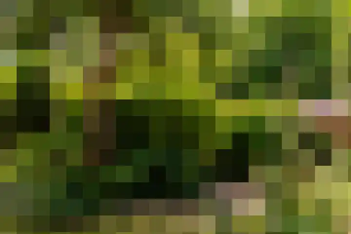 Sonderholm 149 Hoofddorp thumbnail 35