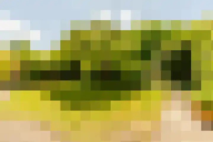 Sonderholm 149 Hoofddorp thumbnail 36