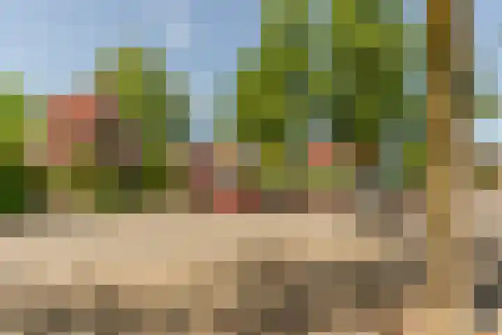 Sonderholm 149 Hoofddorp thumbnail 37