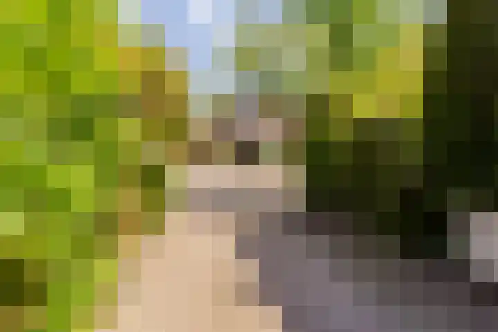 Sonderholm 149 Hoofddorp thumbnail 38