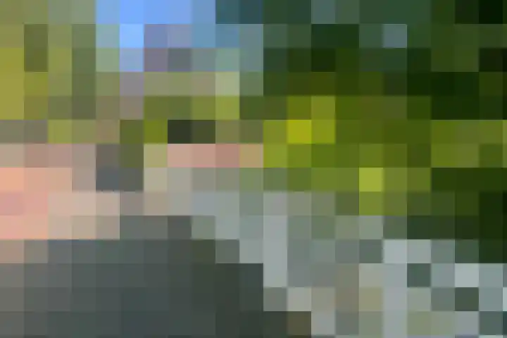Sonderholm 149 Hoofddorp thumbnail 4