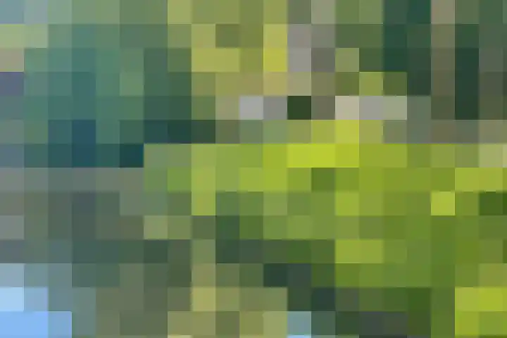 Sonderholm 149 Hoofddorp thumbnail 5