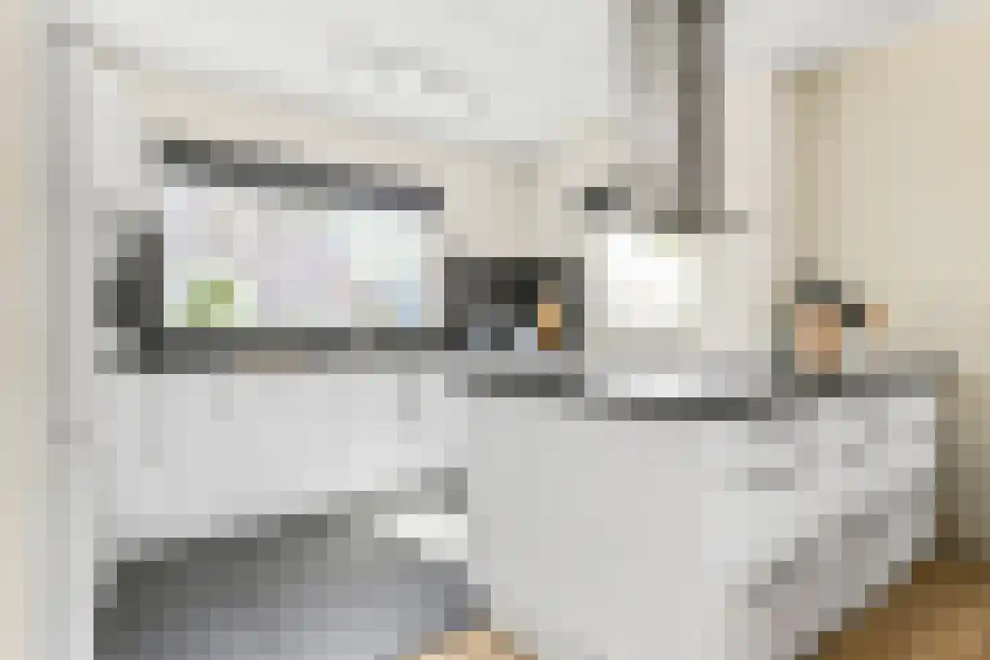 Sonderholm 161 Hoofddorp thumbnail 14