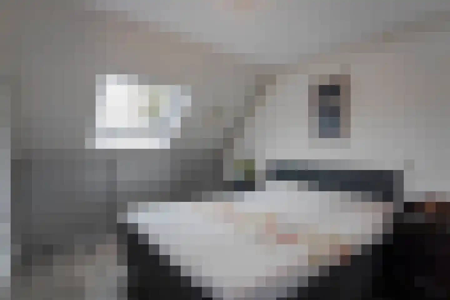Sonderholm 44 Hoofddorp thumbnail 16