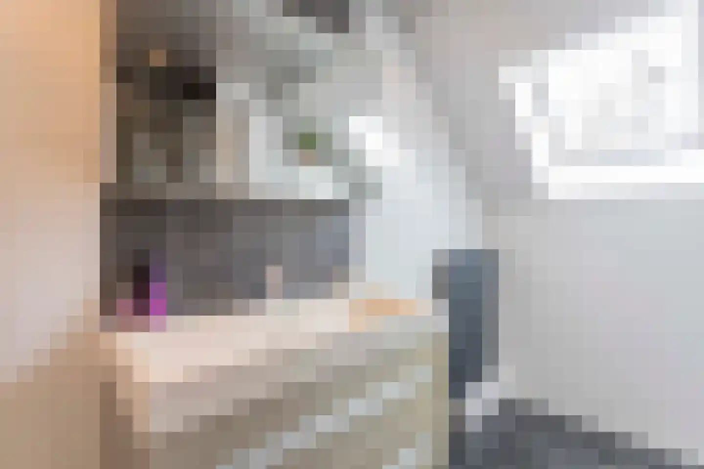 Sonderholm 44 Hoofddorp thumbnail 19