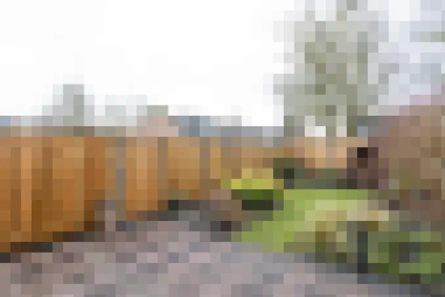 Sonderholm 44 Hoofddorp thumbnail 30
