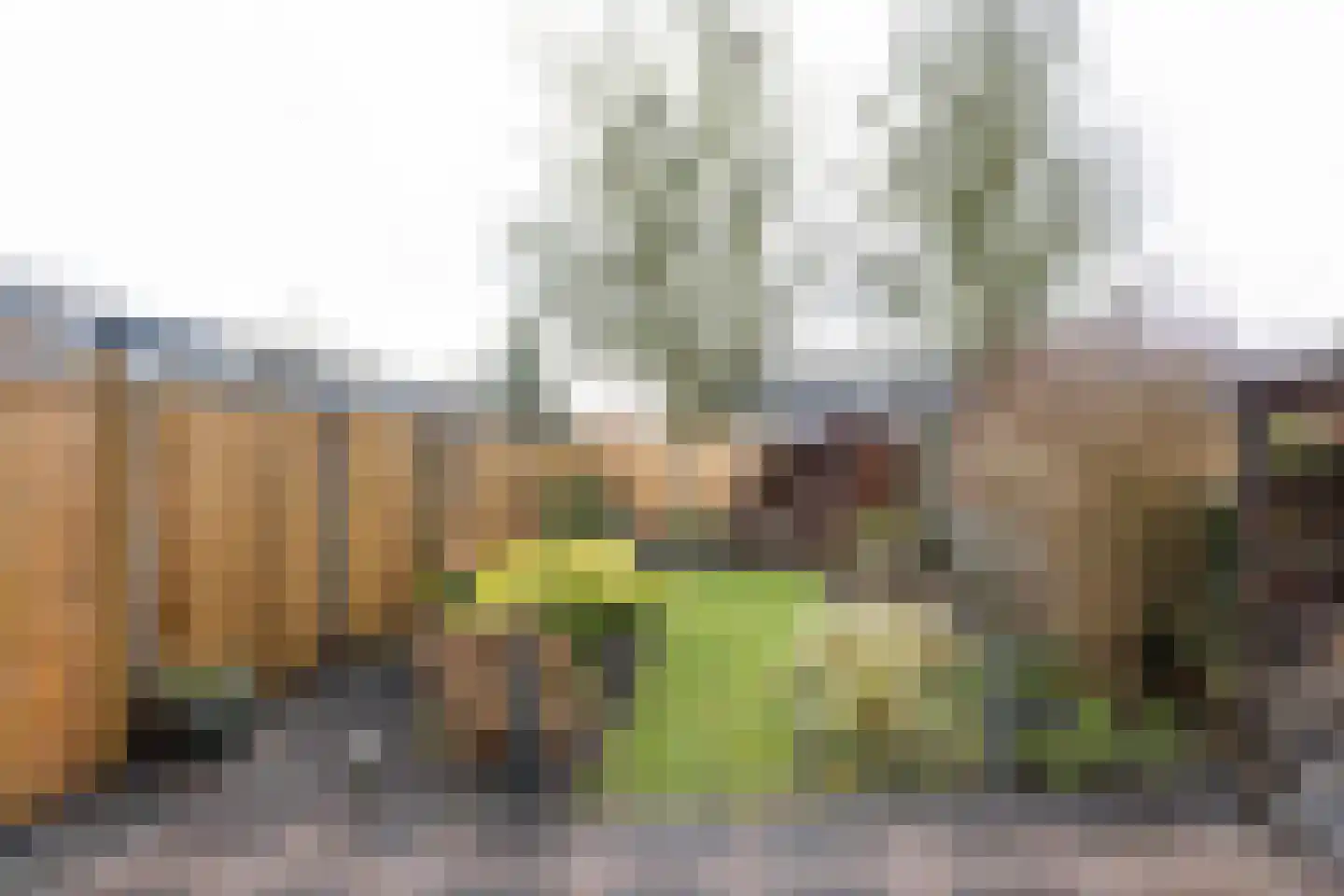 Sonderholm 44 Hoofddorp thumbnail 31