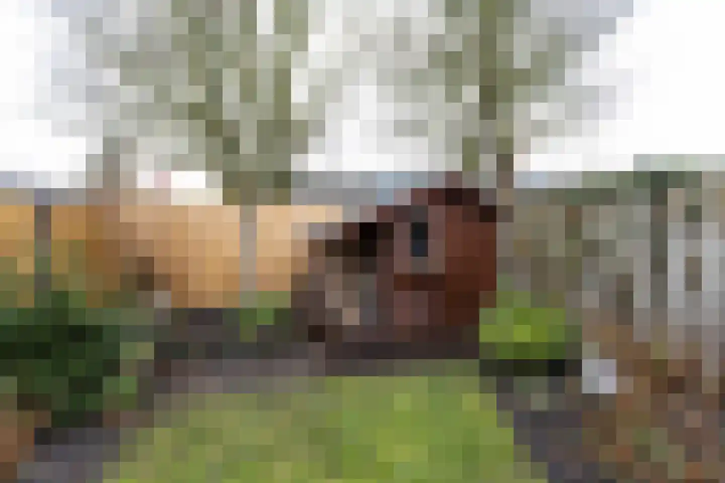 Sonderholm 44 Hoofddorp thumbnail 32