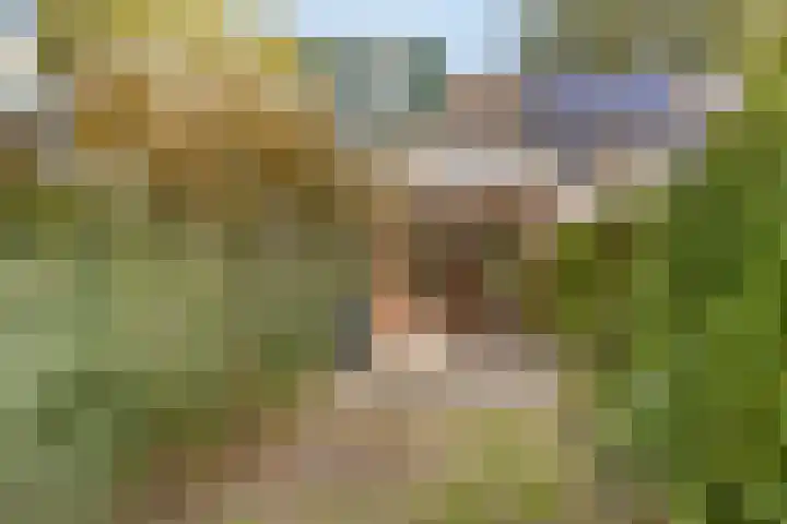 Sonderholm 66 Hoofddorp thumbnail 18