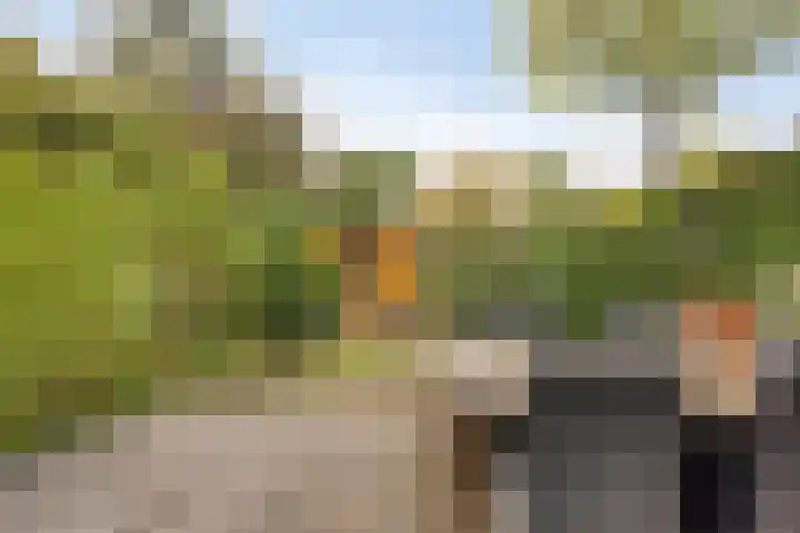 Sonderholm 66 Hoofddorp thumbnail 19