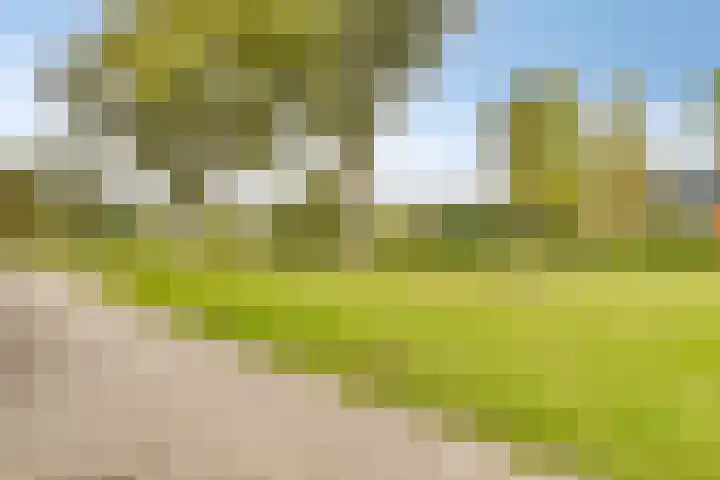 Sonderholm 66 Hoofddorp thumbnail 21