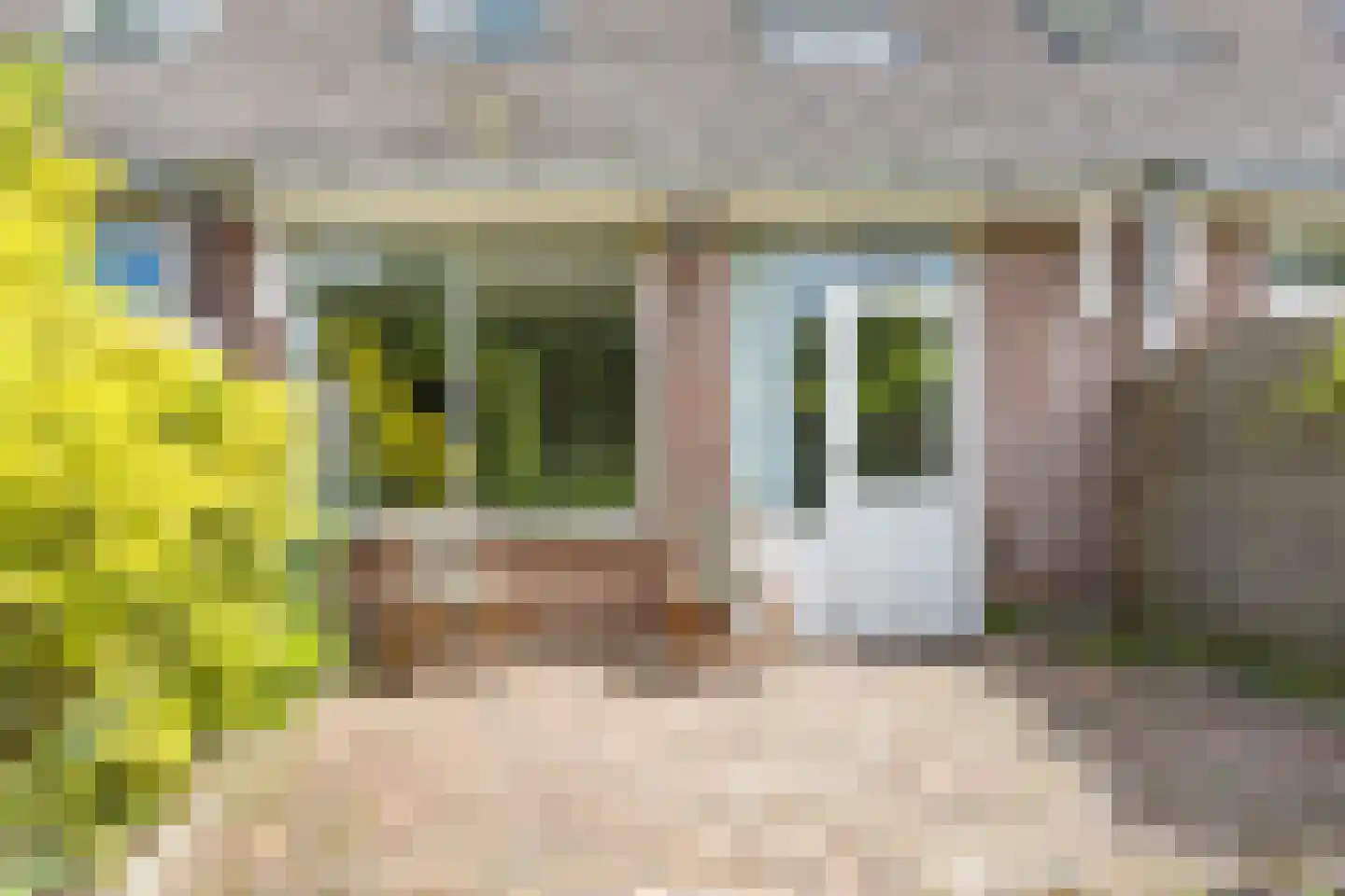 Sonderholm 74 Hoofddorp thumbnail 12