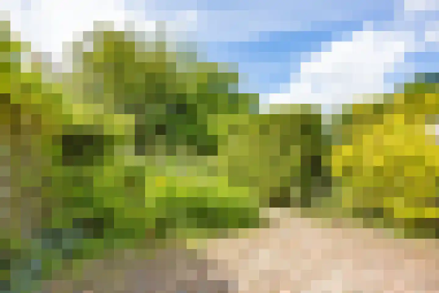 Sonderholm 74 Hoofddorp thumbnail 14