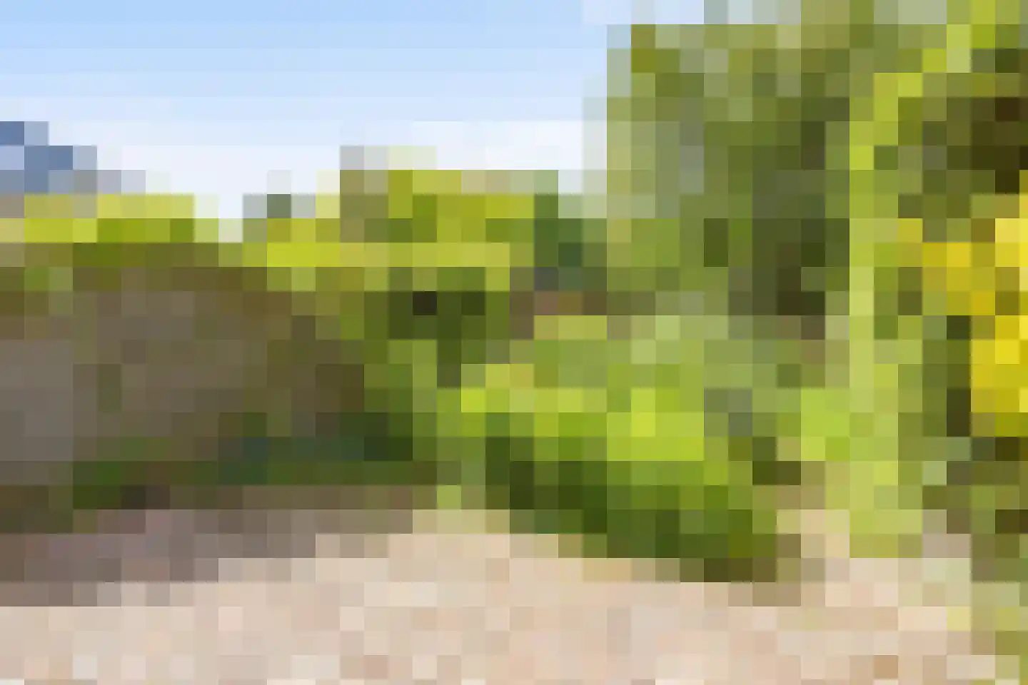 Sonderholm 74 Hoofddorp thumbnail 15