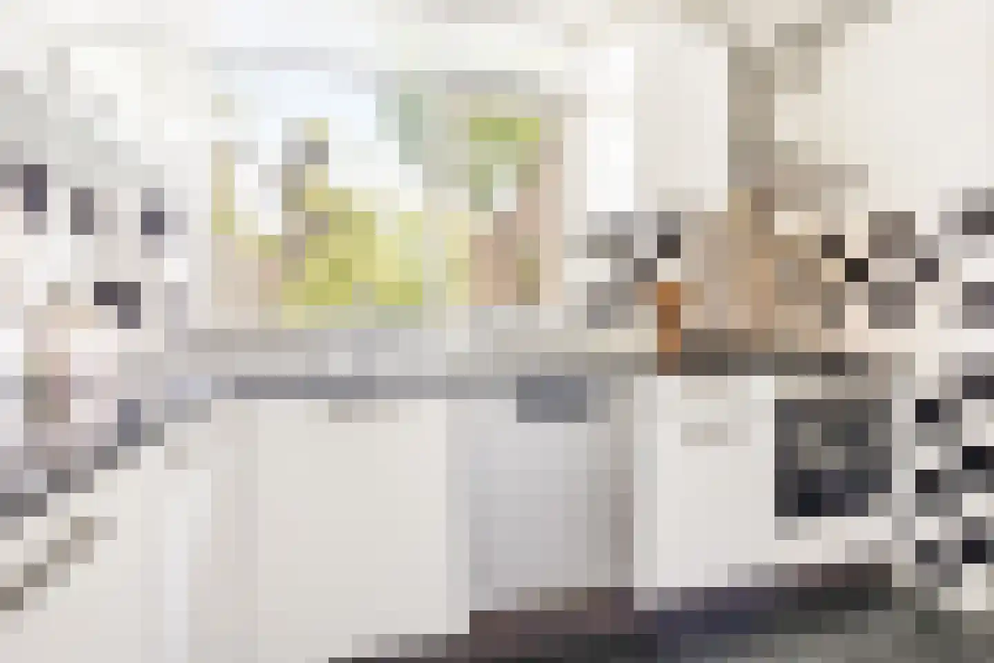 Sonderholm 74 Hoofddorp thumbnail 17