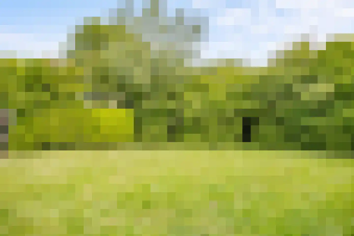 Sonderholm 74 Hoofddorp thumbnail 32