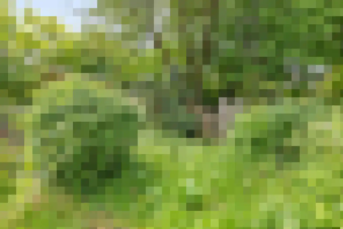 Sonderholm 74 Hoofddorp thumbnail 33