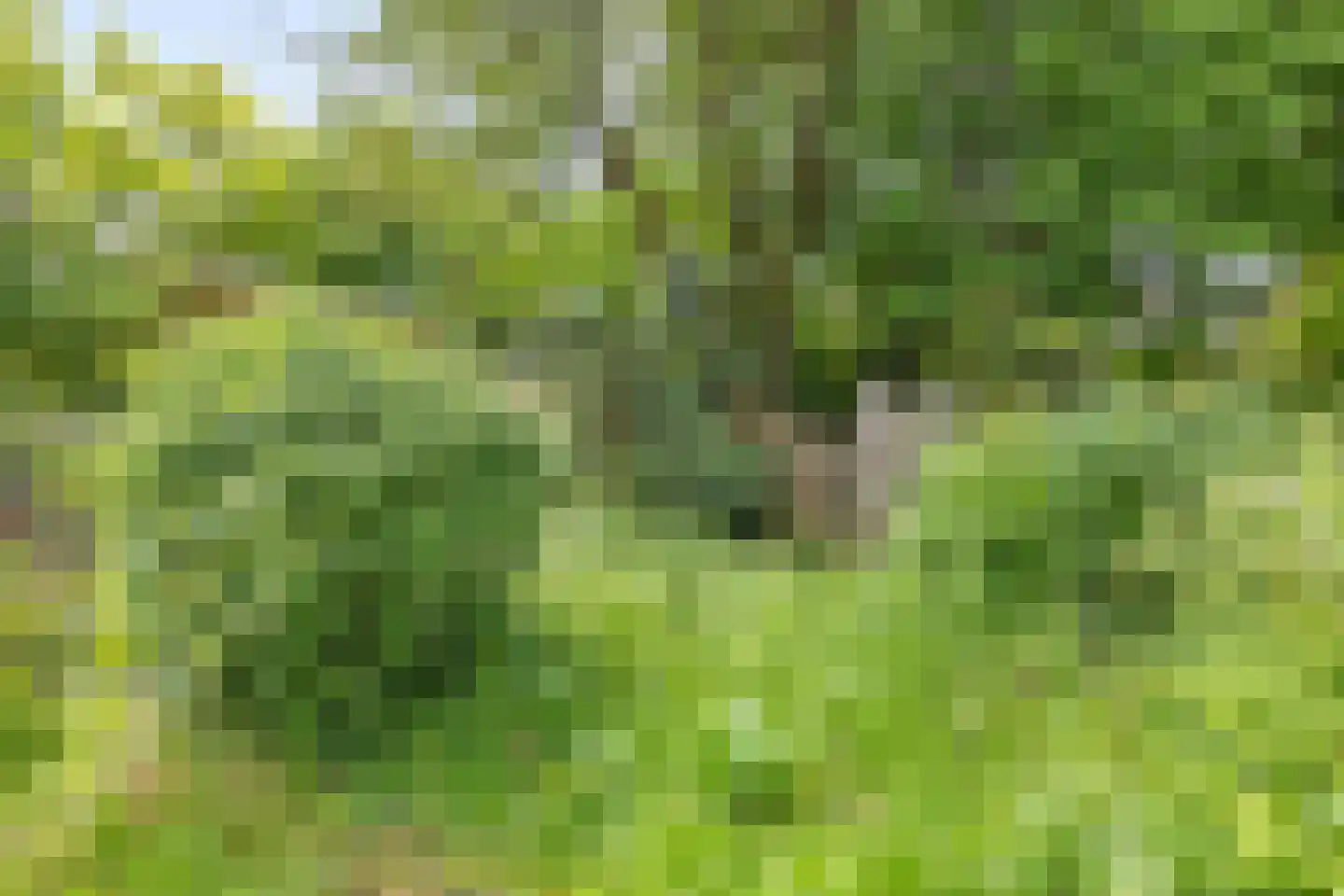 Sonderholm 74 Hoofddorp thumbnail 35