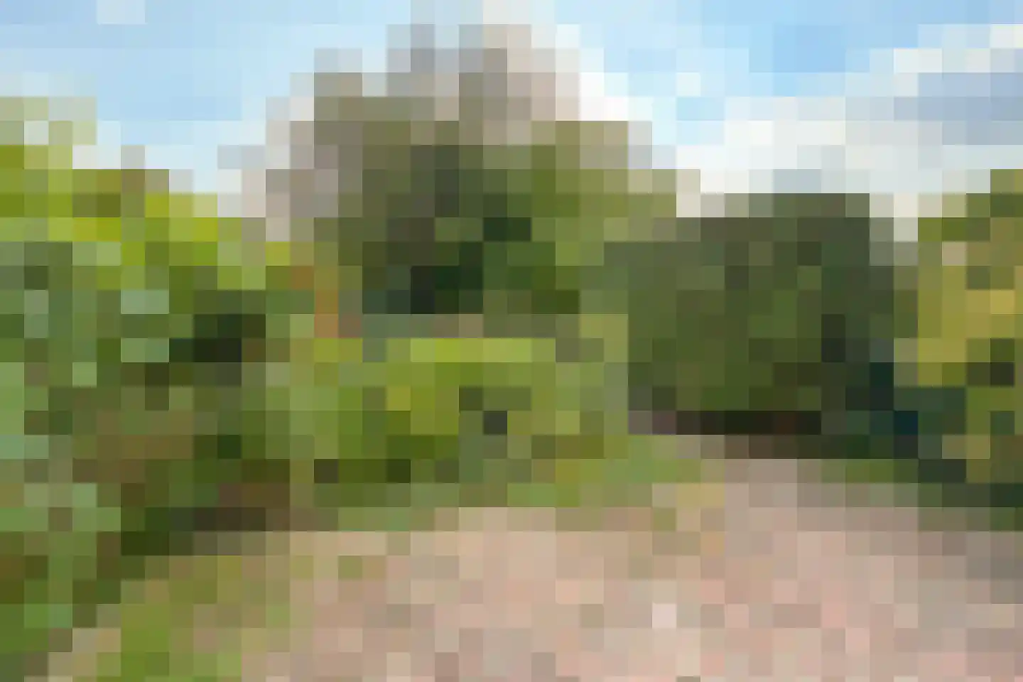 Sonderholm 74 Hoofddorp thumbnail 37