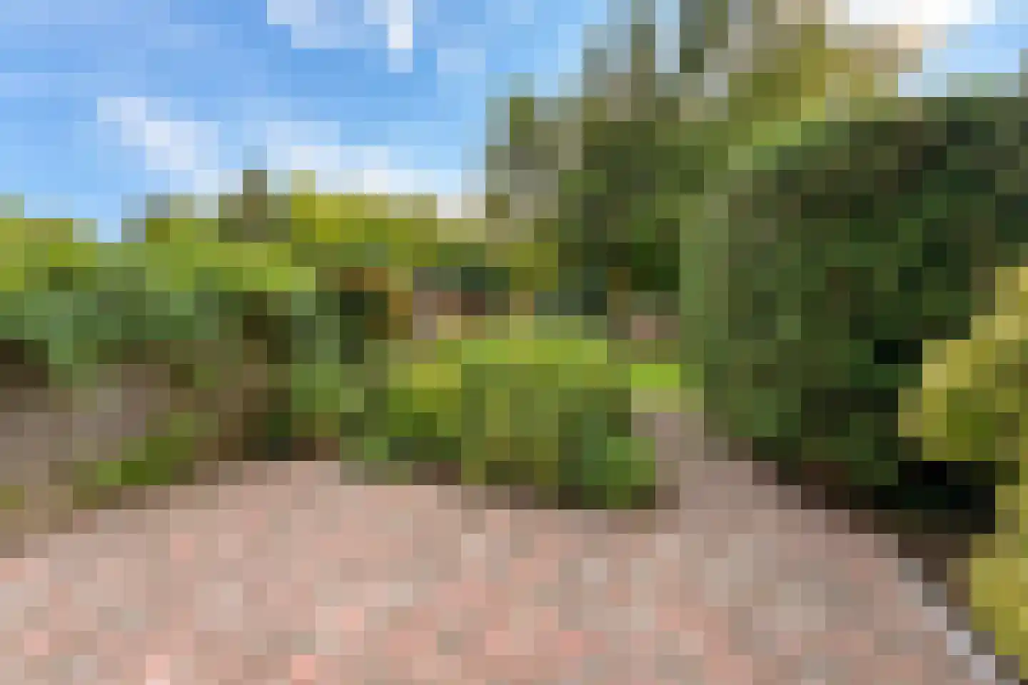 Sonderholm 74 Hoofddorp thumbnail 38