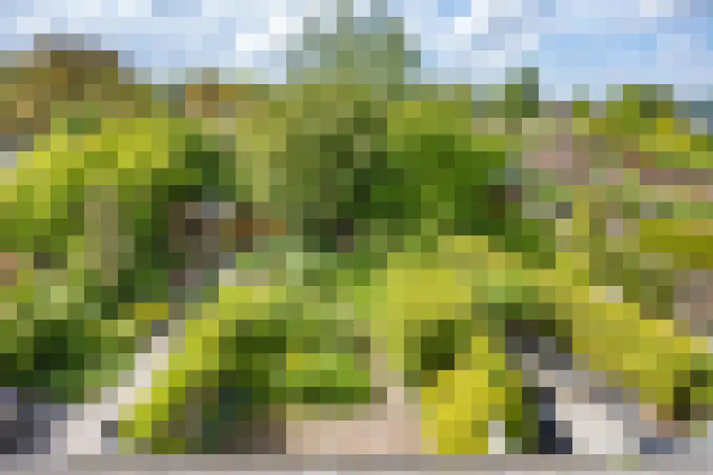 Sonderholm 74 Hoofddorp thumbnail 4