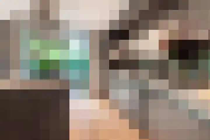 Sonderholm 91 Hoofddorp thumbnail 10