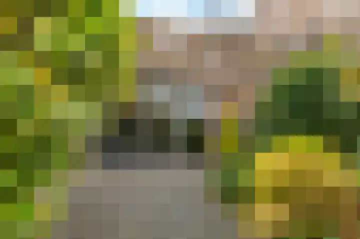 Sonderholm 91 Hoofddorp thumbnail 21