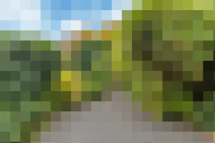 Sonderholm 91 Hoofddorp thumbnail 22