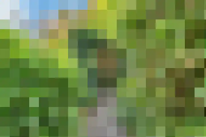Sonderholm 91 Hoofddorp thumbnail 23