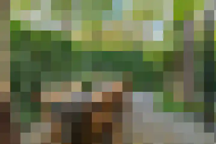 Sonderholm 91 Hoofddorp thumbnail 4
