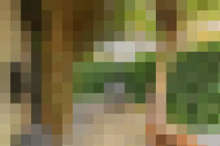Sonderholm 91 Hoofddorp thumbnail 5