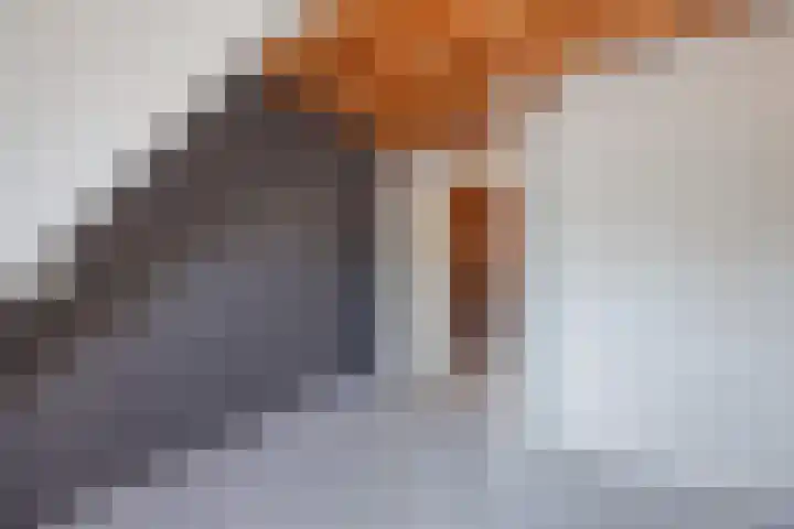 Sondertsepad 6 Sevenum thumbnail 23