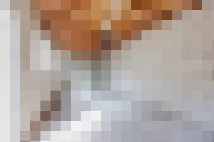 Sondertsepad 6 Sevenum thumbnail 30