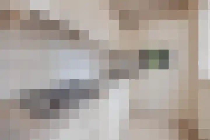 Sondertsepad 6 Sevenum thumbnail 5