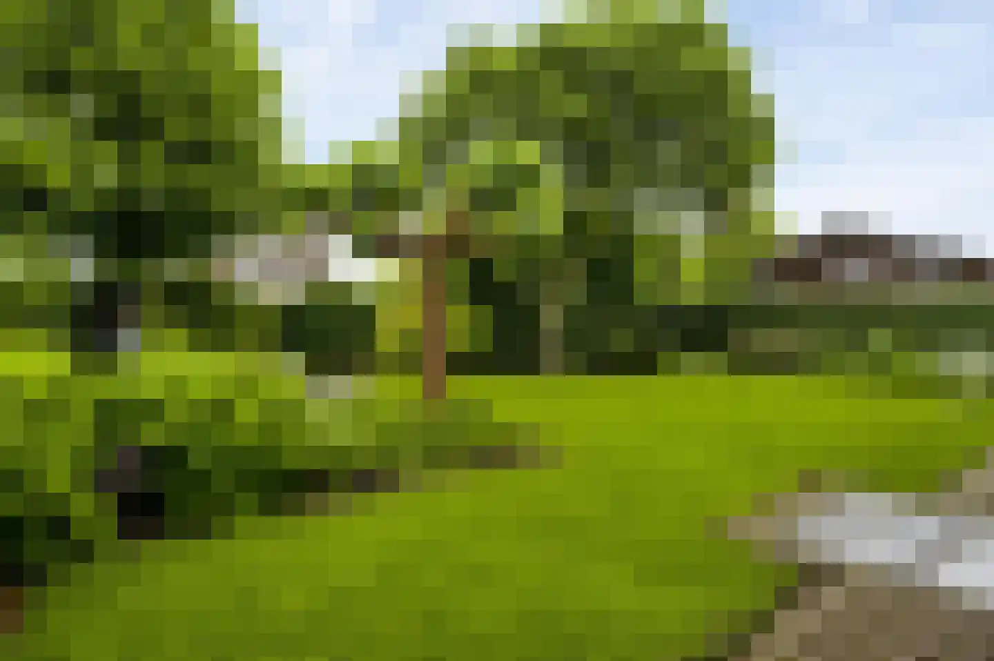 Sondertseveld 13 Sevenum thumbnail 4