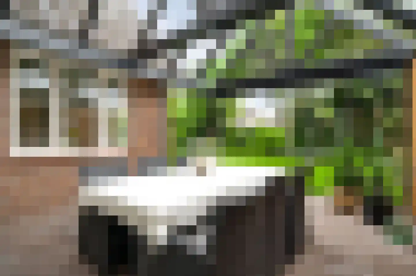 Sondertseveld 13 Sevenum thumbnail 46